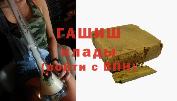apvp Гусев
