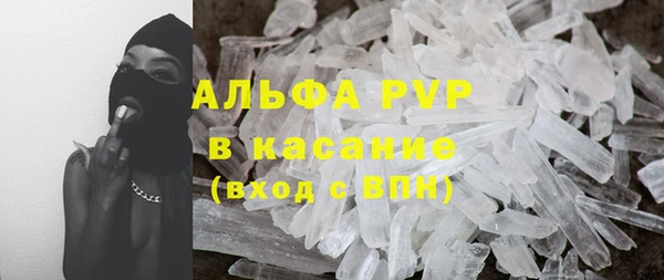 apvp Гусев