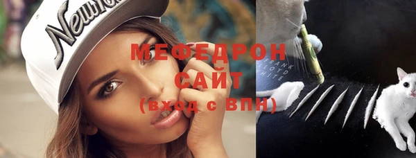 apvp Гусев