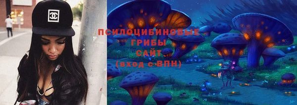 ПСИЛОЦИБИНОВЫЕ ГРИБЫ Хадыженск